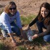 Repoblación forestal del parque del río Turia