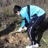 Repoblación forestal del parque del río Turia