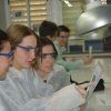 Gaudint la Química