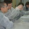 Gaudint la Química