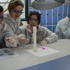 Gaudint la Química