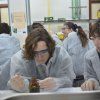 Gaudint la Química