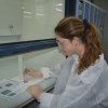 Gaudint la Química