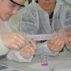 Gaudint la Química