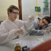 Gaudint la Química