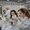 Gaudint la Química