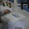 Gaudint la Química