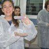 Gaudint la Química