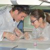 Gaudint la Química
