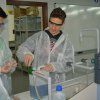 Gaudint la Química