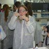 Gaudint la Química