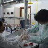 Gaudint la Química