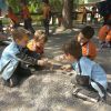 Parque Adai 2017