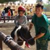 Parque Adai 2017
