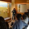 Museo Prehistoria