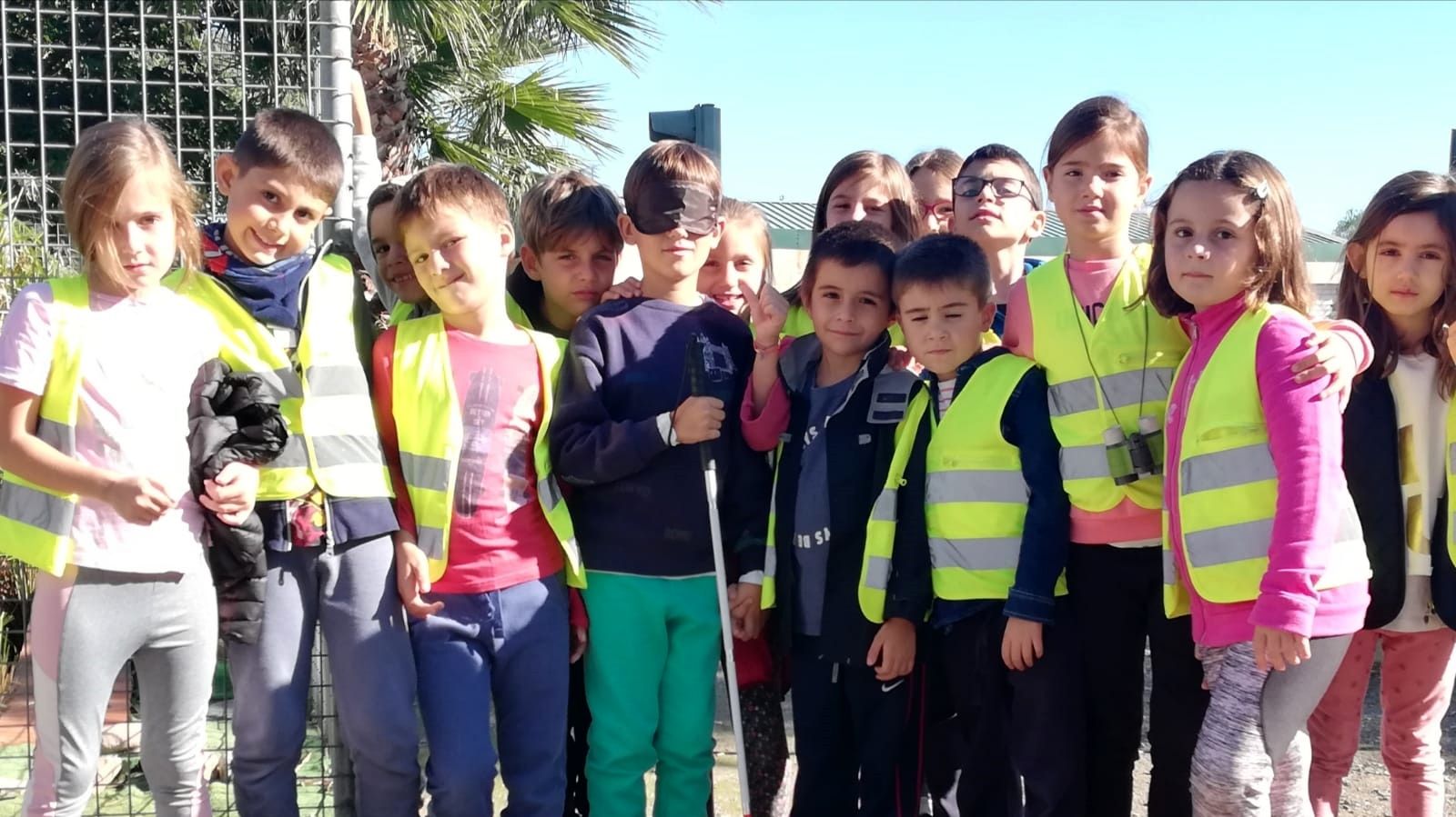 Senyals 2019