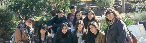 1bach_botanico