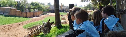 1pri bioparc13