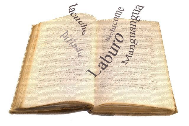 diccionario