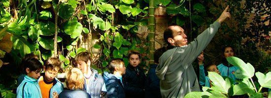 40pri 05botanico