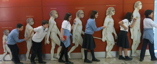 50pri prehistoriap