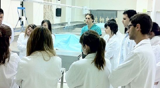diseccion visita