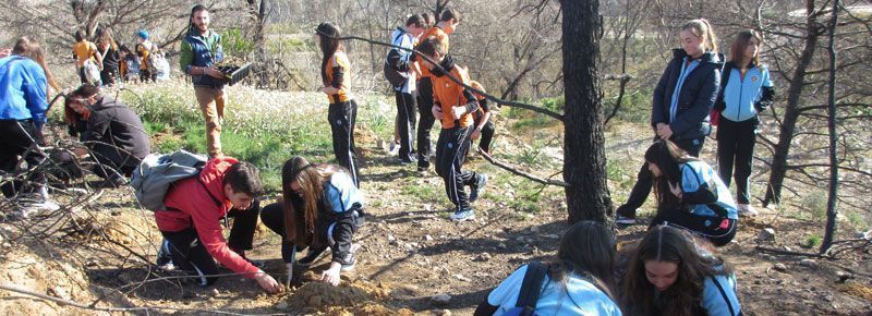 3eso reforestacion