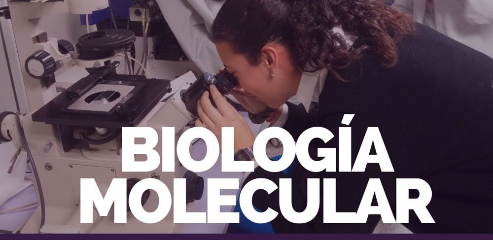 2bach biologia molecularp
