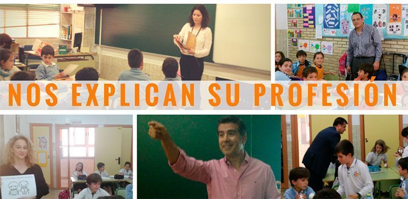 3pri profesiones