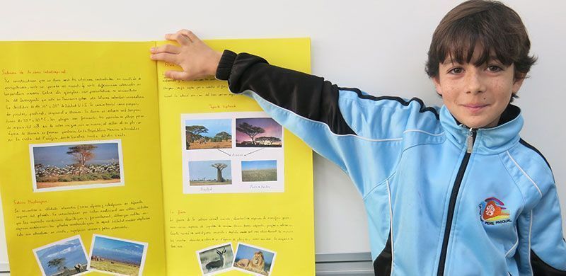 5pri ecosistemas