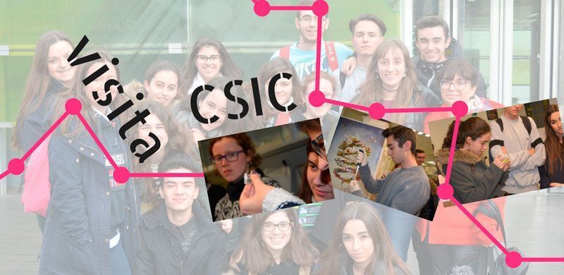 113 csic