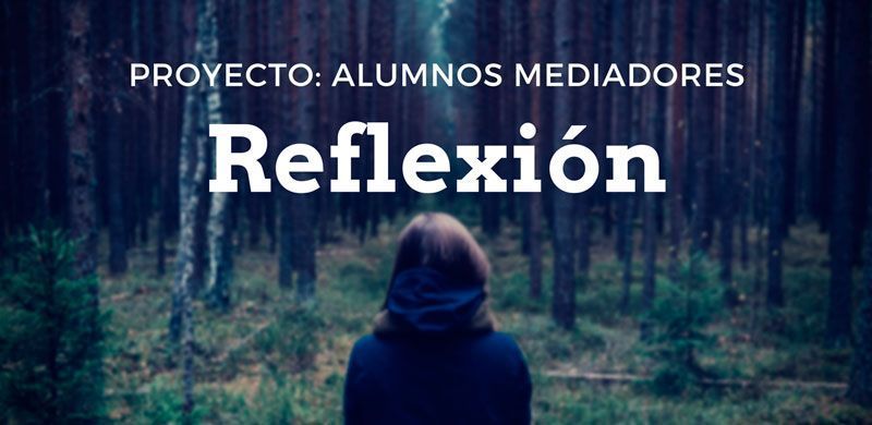 206 alumnos mediadores