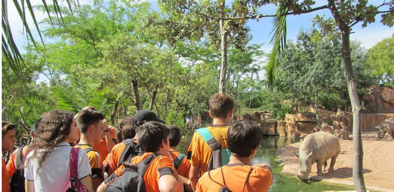 250 4eso bioparc6
