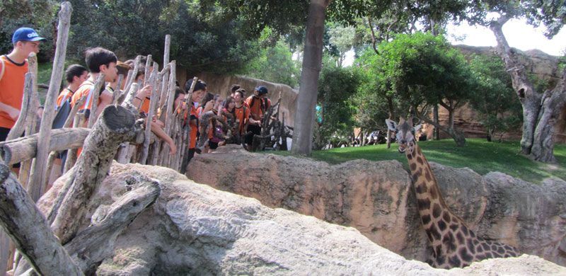 250 4eso bioparc6