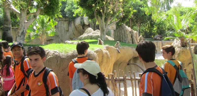 250 4eso bioparc6
