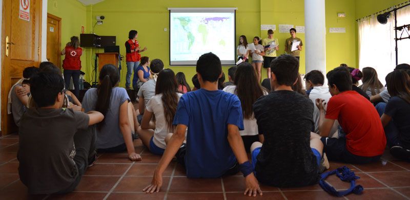 253 camp refugiados