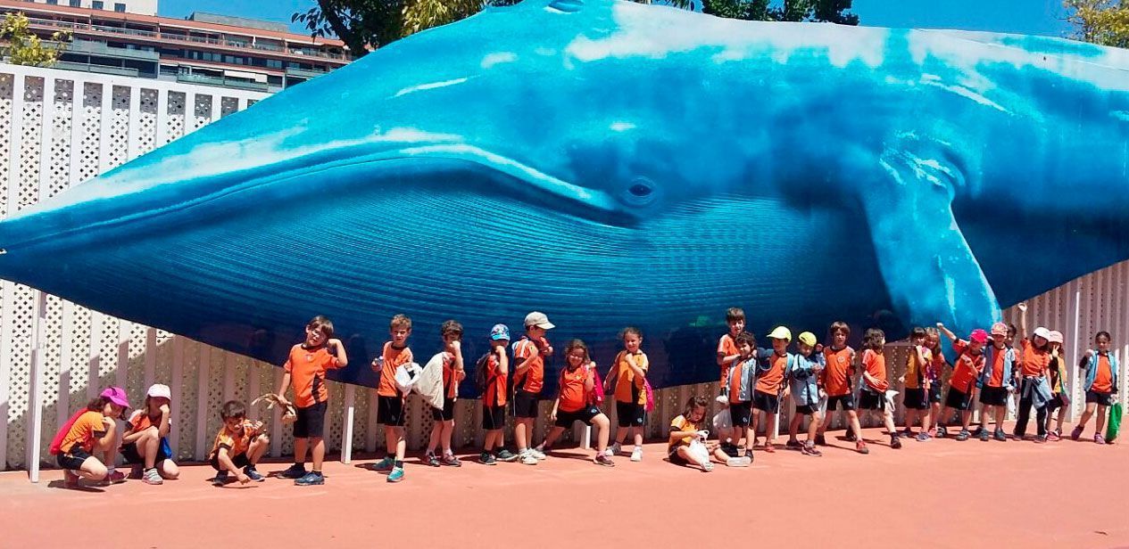 oceanografico