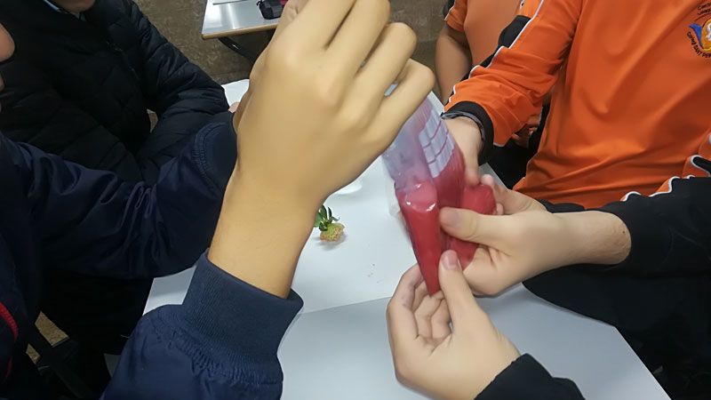 126 4eso fresas