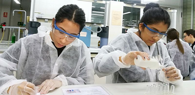 132 gaudint quimica