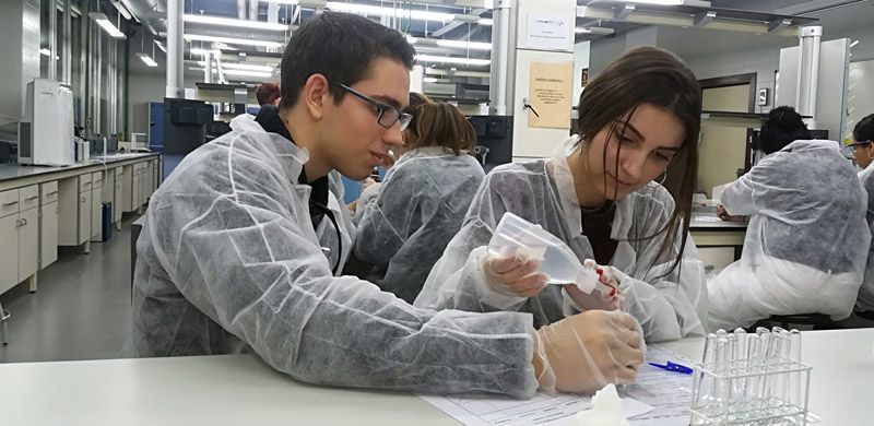 132 gaudint quimica