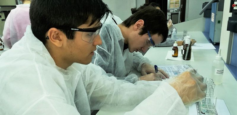132 gaudint quimica