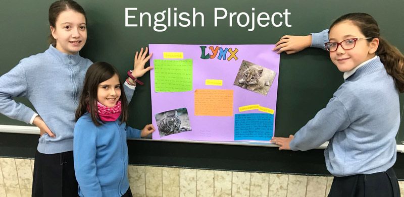 145 EnglishProject