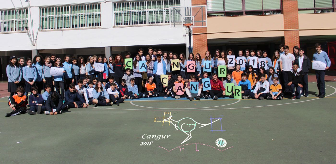 221 cangur