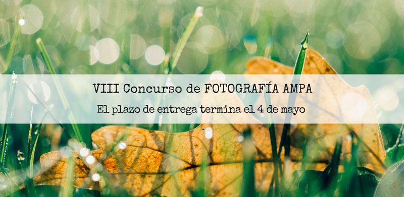 VIII Concurso de FOTOGRAFÍA AMPA