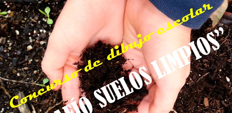 064 suelos limpios