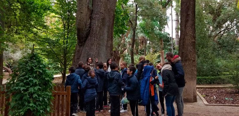 Visita al Jardí Botànic