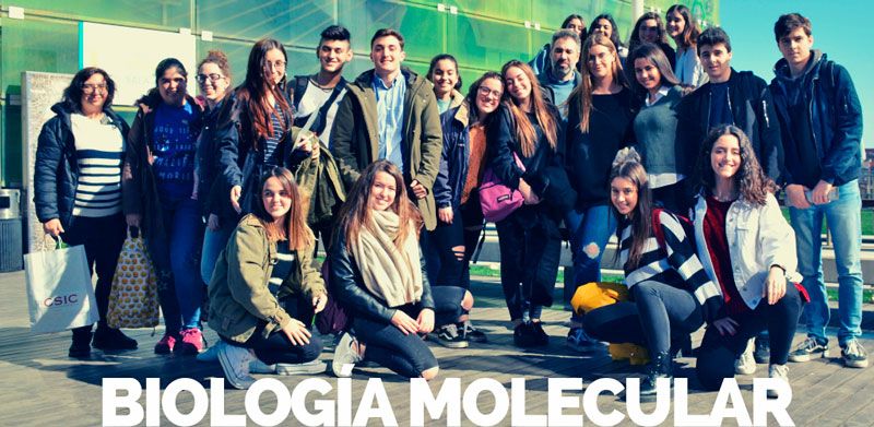 Instituto de Biología Molecular