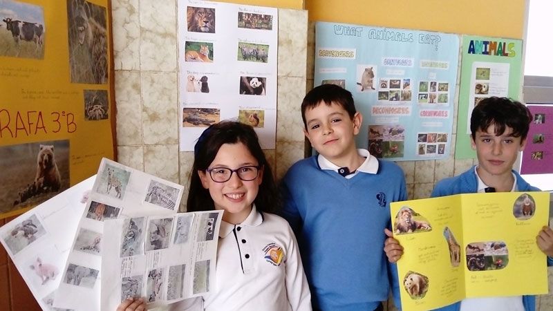Animal Classification Projects