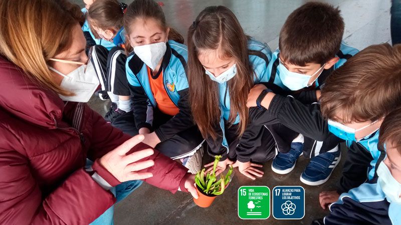 Taller de plantas carnívoras